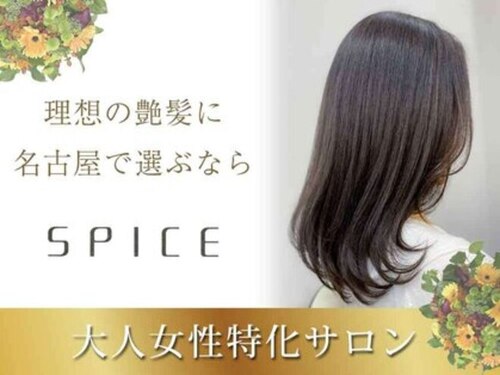 スパイス(SPICE)(愛知県名古屋市天白区野並2―371)