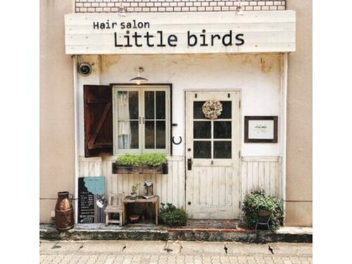 ヘアサロン リトルバード(Hair salon Little birds)(三重県津市広明町371 ハシモトビル1F)