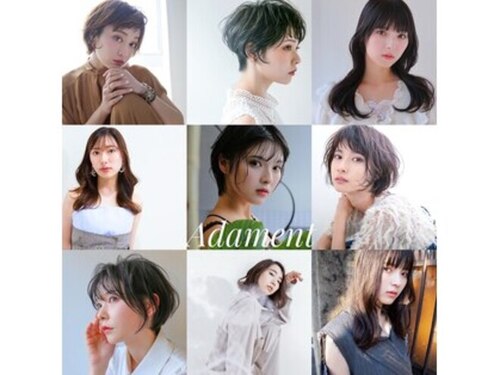 アダメント Adament(京都府京都市右京区西院東淳和院町27 ヴィラツィンクル1F)
