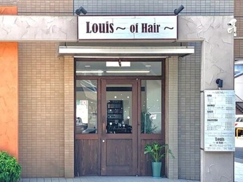 ルイス(Louis)(京都府京都市伏見区竹田西桶ノ井町19 ディアコート竹田1階)