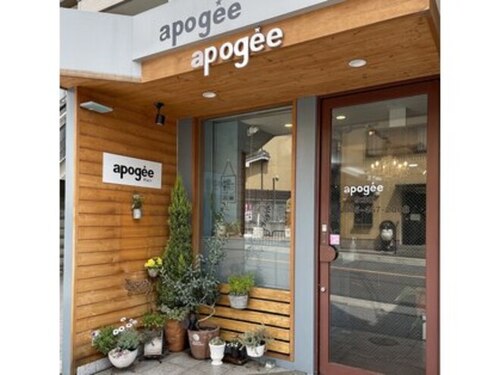 アポジェヘアー(apogee Hair)(京都府京都市北区衣笠総門町30-4 APGビル1F)