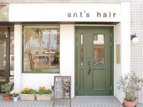 アンツヘア(ant's hair)(京都府京田辺市田辺中央1-7-11  1F)