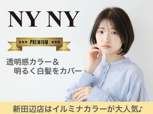 ニューヨークニューヨーク 新田辺店(NYNY)(京都府京田辺市田辺中央6-7-7 エルコートビル1F)