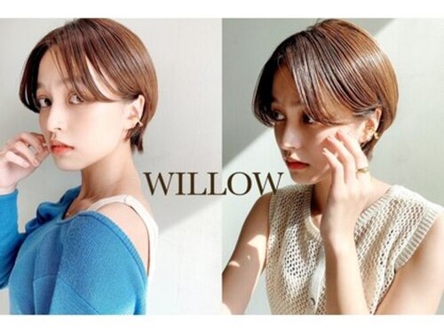 ウィロー(WILLOW)(大阪府大阪市都島区東野田町1-21-7 1F)