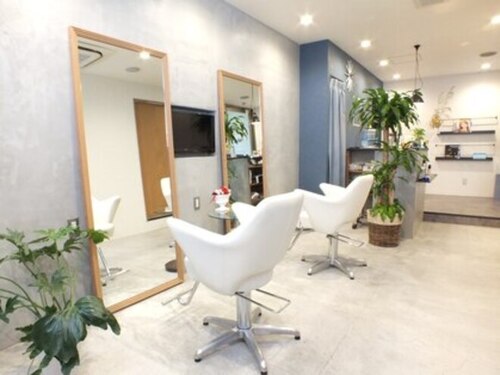 アイルー(airou)(大阪府大阪市中央区北浜3-1-13 山岡淀屋橋ビル2F)