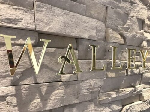 ウェイリー(WALLEY)(大阪府大阪市阿倍野区松崎町2-9-25 あべの壱番館105)