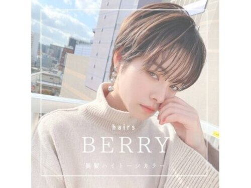 ヘアーズベリー くずは店(hairs BERRY)(大阪府枚方市南楠葉1-26-1 LMビル2F)