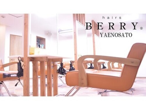 ヘアーズベリー 八戸ノ里店(hairs BERRY)(大阪府東大阪市下小阪5-6-7)