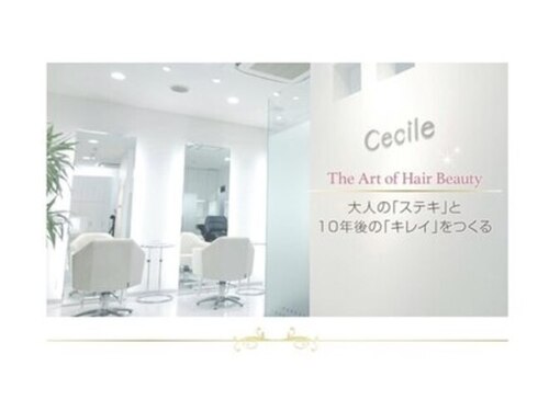 セシル(Cecile)(兵庫県芦屋市船戸町2-1-109 ラポルテ西館1F)