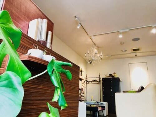 コアフュール(Coiffure)(岡山県岡山市北区奥田本町2-1)