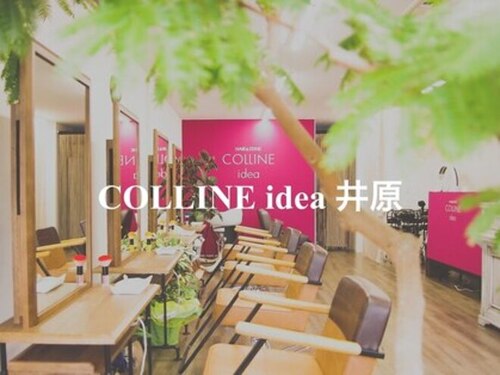 コリーヌイデア 井原(COLLINE idea)(岡山県井原市井原町349安井ビル1F西側ルーム)