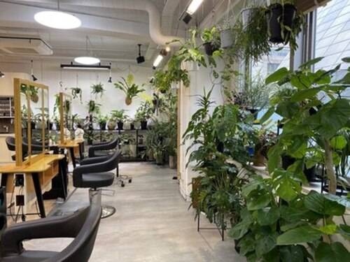 シャーマンヘアラボ(SHAMAN hair labo)(広島県広島市中区大手町1-4-8広島ファッション専門学校内201)