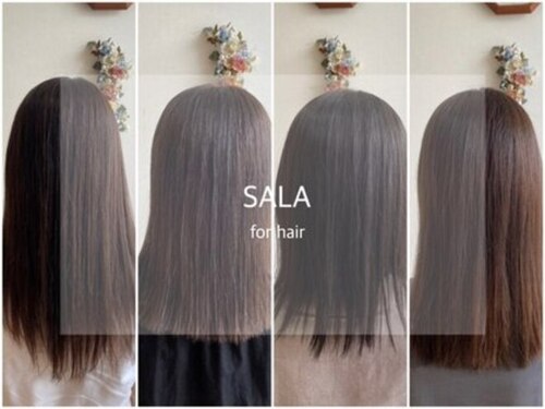 サラフォーヘアー(SALA for hair)(徳島県徳島市城南町2-1060-17)