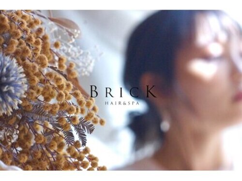 ブリック ヘアアンドスパ 松山(BRICK HAIR&SPA)(愛媛県松山市三番町3-8-4 2F)