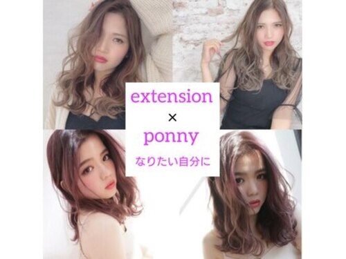 ポニー(Ponny)(福岡県福岡市中央区大名1-2-28 アイディール大名3F)