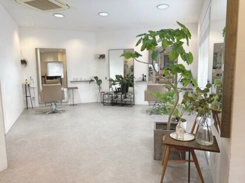 ラナイ ヘア メイク スペース(Lanai hair make space)(福岡県福岡市中央区薬院3-6-11 2F)