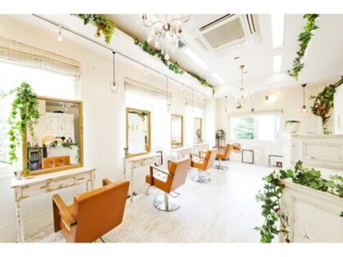 イロドリ ヘアーデザイン(IRODORI hair design)(福岡県福岡市中央区今泉2-5-25 KGビル3F)