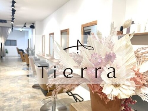 ティエラ 西新店(TIERRA)(福岡県福岡市早良区西新4-7-29 福村産業ビル 2F)