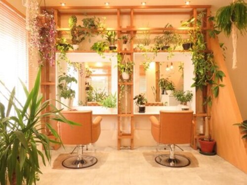 パーク ヘアデザイン(park hair design)(福岡県福岡市早良区原4-16-26)