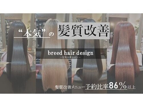 ブリード ヘアデザイン(breed hair design)(福岡県福岡市中央区大名1-1-4 405)