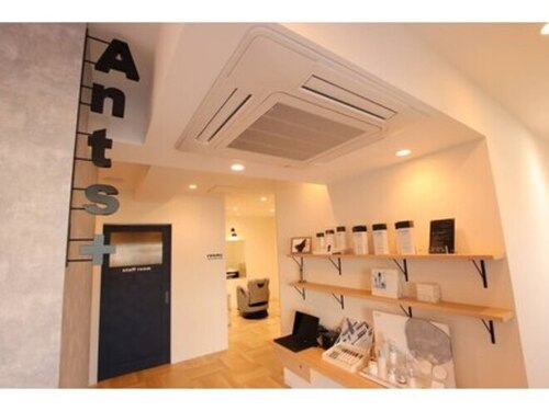 アンツプラス(Ants +)(福岡県福岡市西区今宿3-24-41 シャーメゾン今宿101)