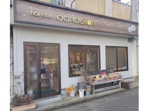 ダンデライオン(dandelion)(長崎県北松浦郡佐々町羽須和免838-3)