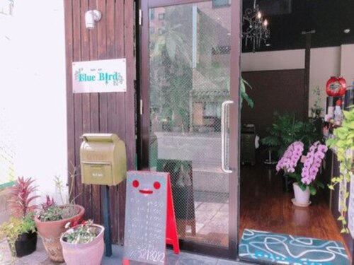 ヘアーアート ブルーバード(hairart BlueBird)(熊本県熊本市中央区米屋町3-53-1F)