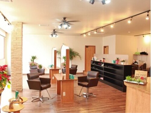 ヘアスタジオ エコー(hair studio ecoH)(熊本県熊本市東区長嶺東1-2-55 2F)