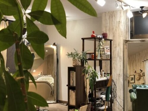 グリーンピース ヘアルーム(green peace hair room)(熊本県熊本市中央区内坪井町8-18 倉岡ビル 1F)